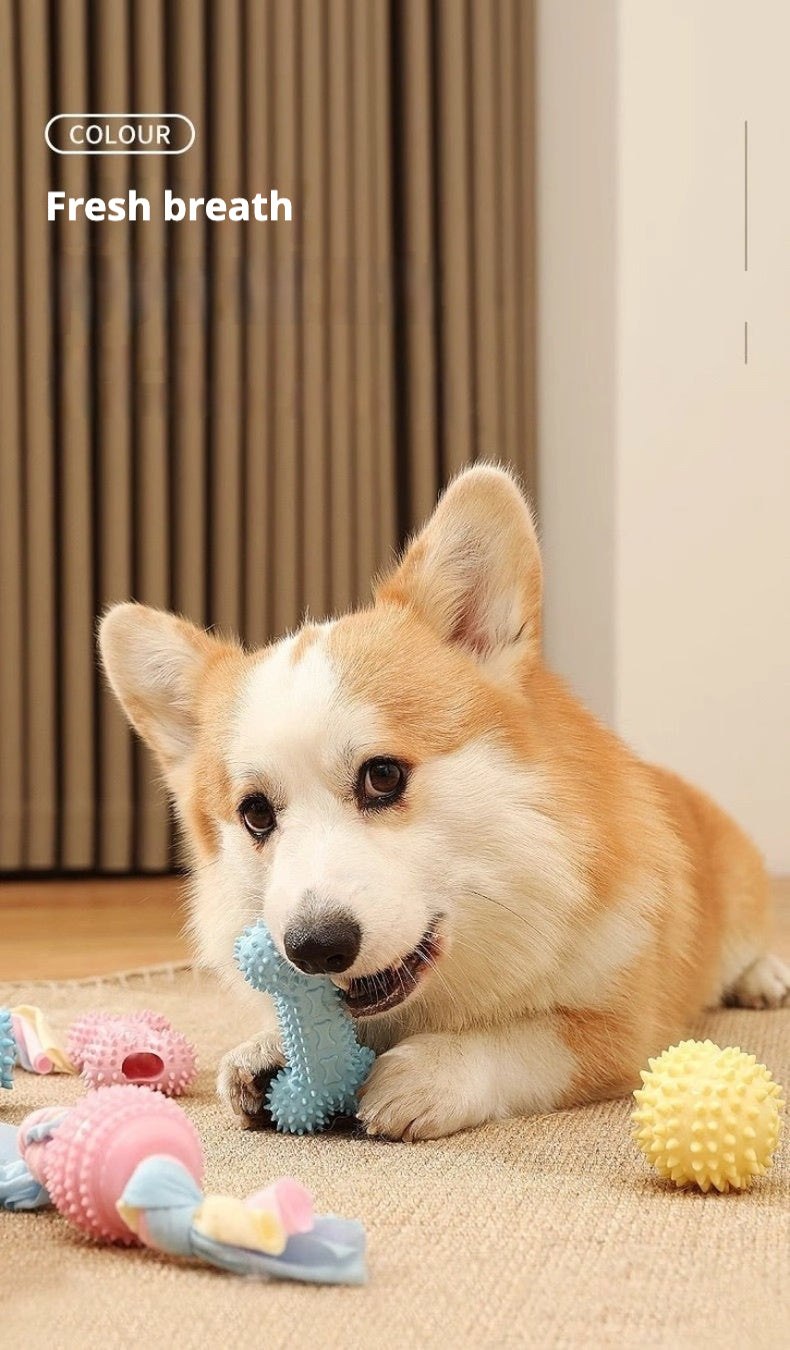 Interactive Chew Toys (Pack of 4)