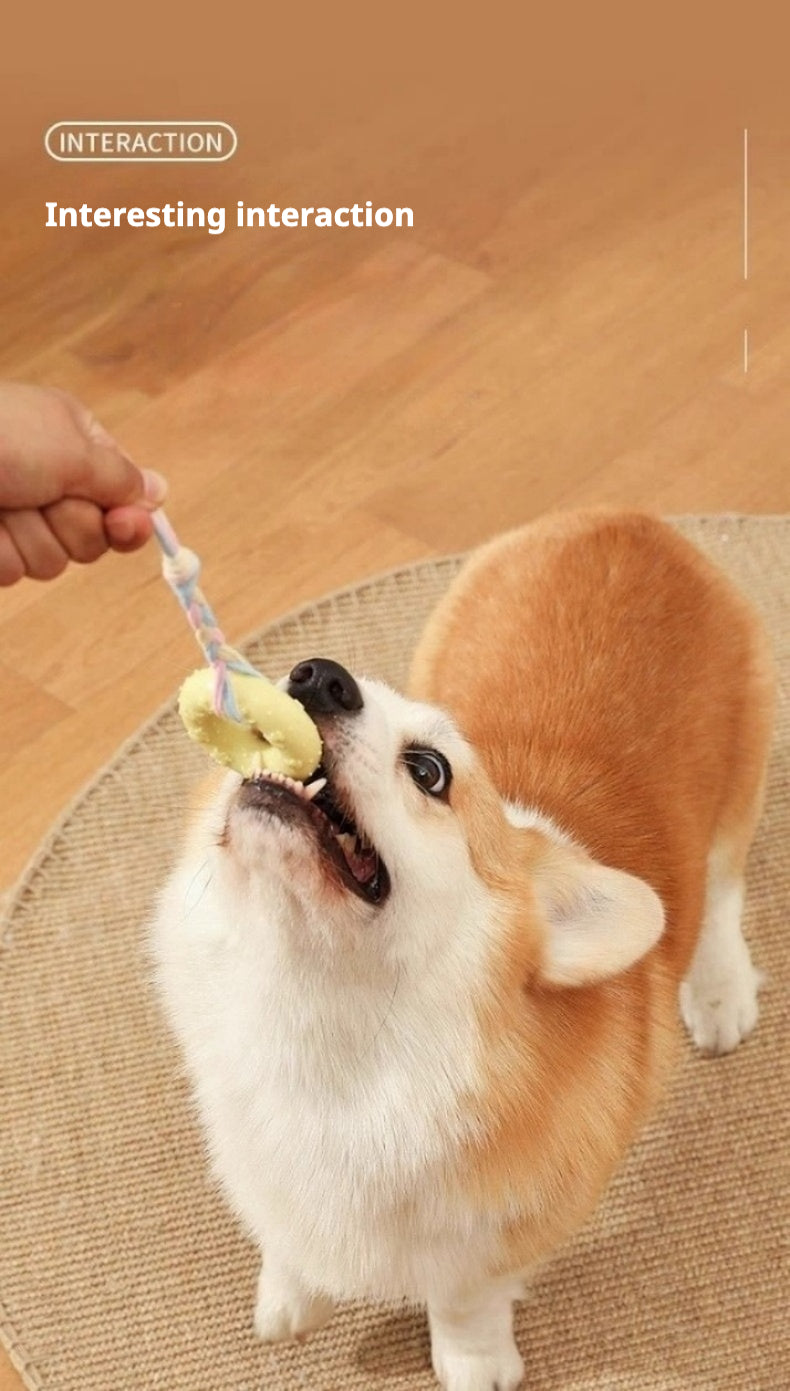Interactive Chew Toys (Pack of 4)