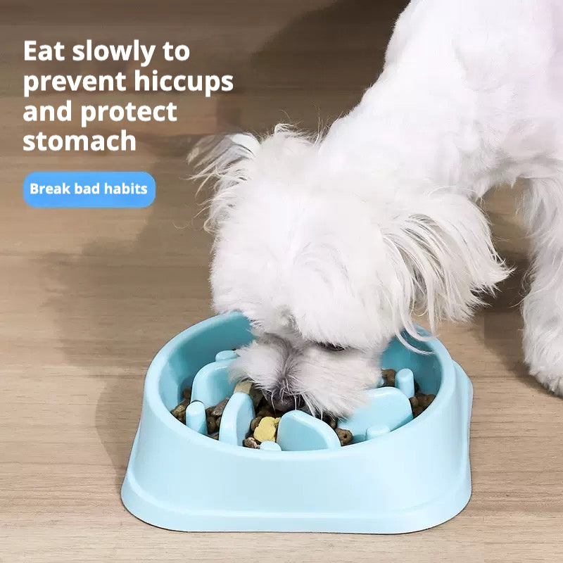 Slow Eating Pet Bowl