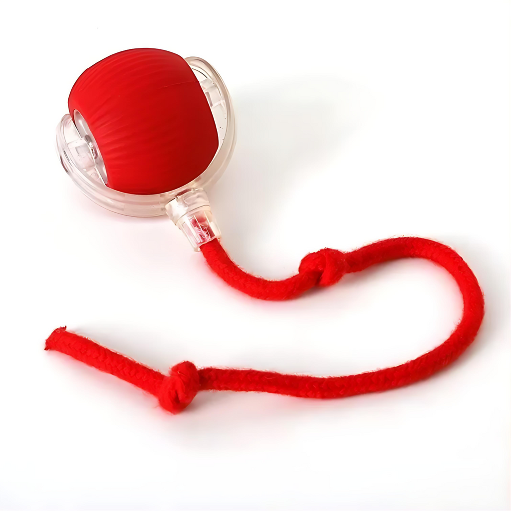 Automatically rolling electric ball