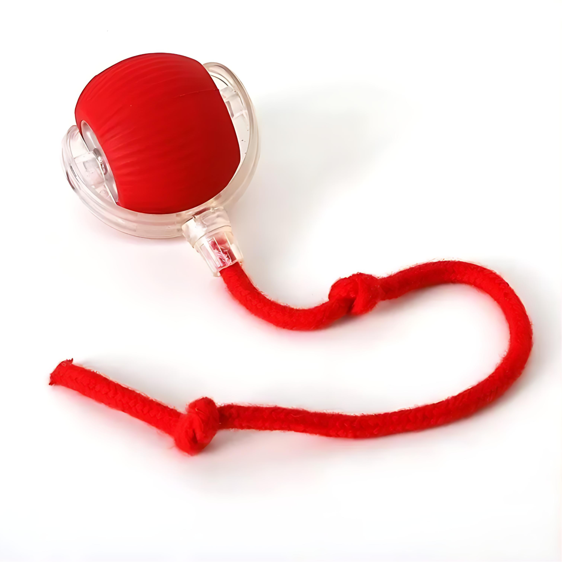 Automatically rolling electric ball