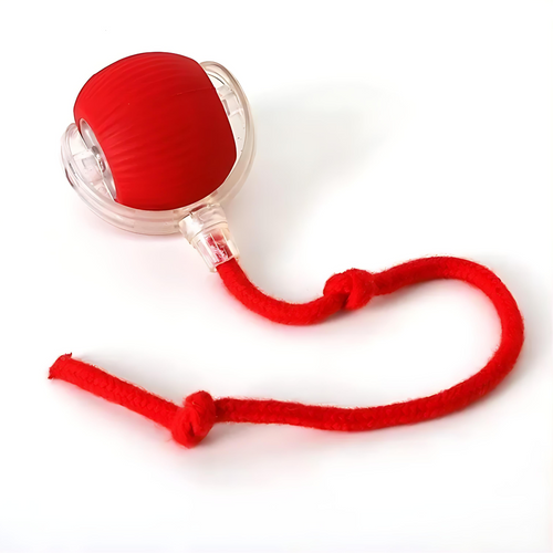 Automatically rolling electric ball