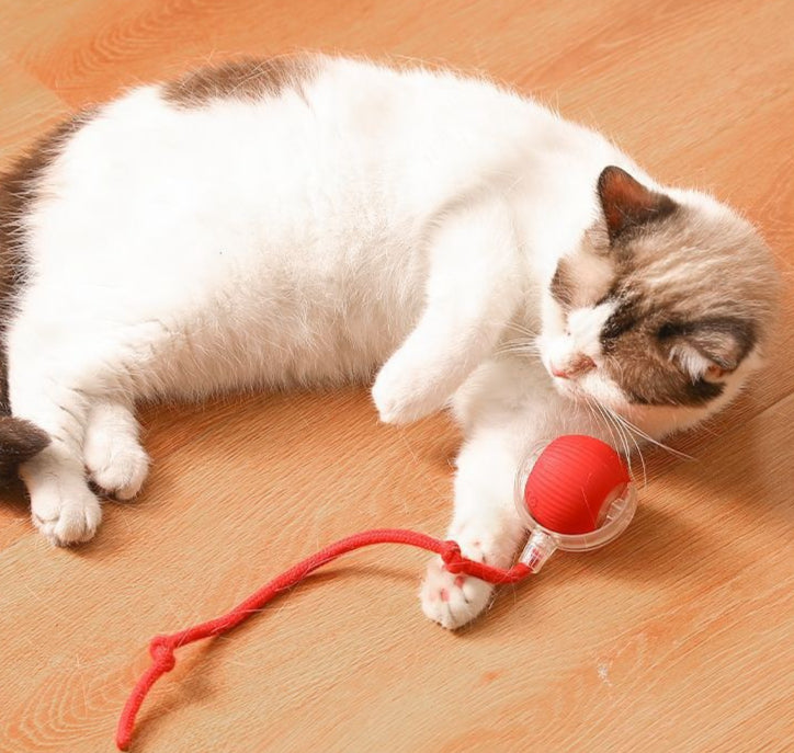 Automatically rolling electric ball